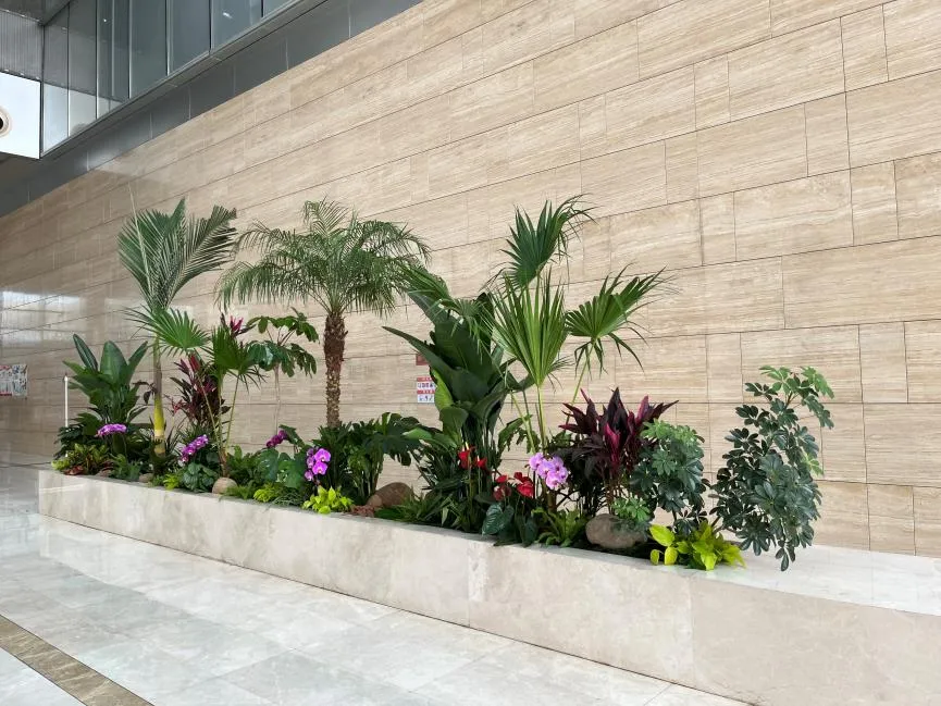 体验宁波江北绿植出租设计，邂逅自然之美空间